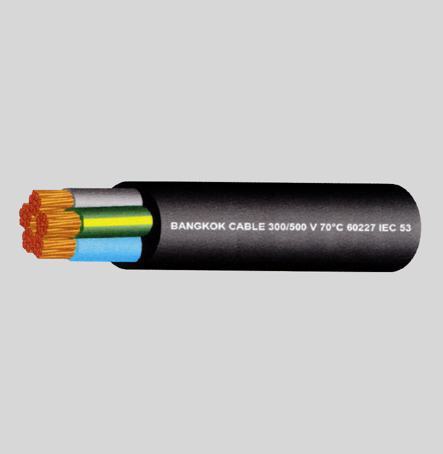 IEC 53 WITH GROUND (แบบกลม)